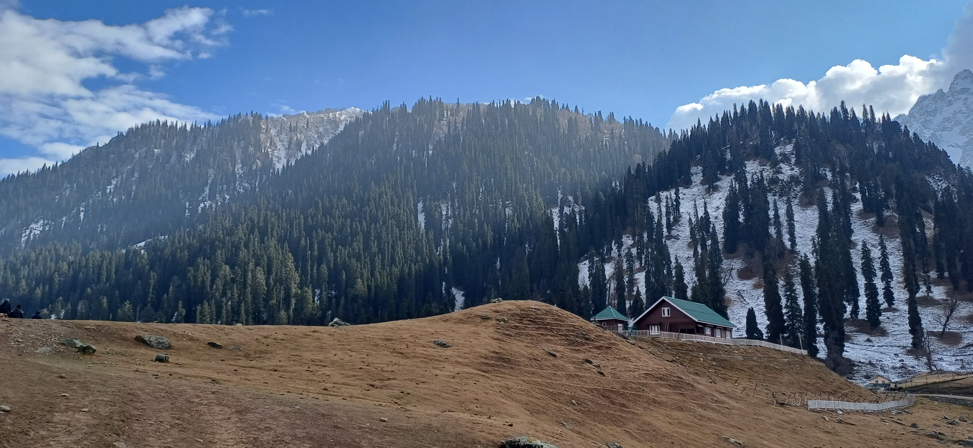 Sandip Roy Freelance Web Developer